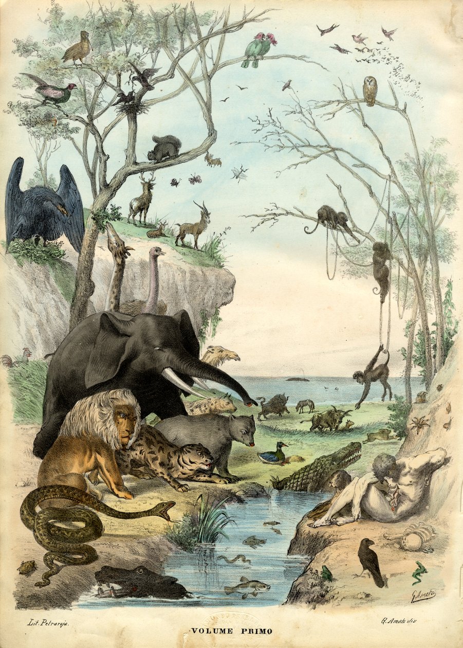 Címlap, 1863-79 alkotó: Raimundo Petraroja