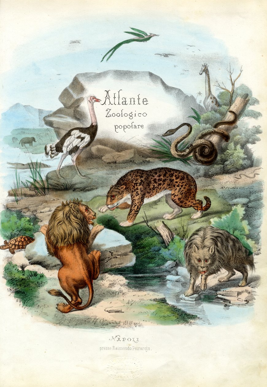 Címlap, 1863-79 alkotó: Raimundo Petraroja