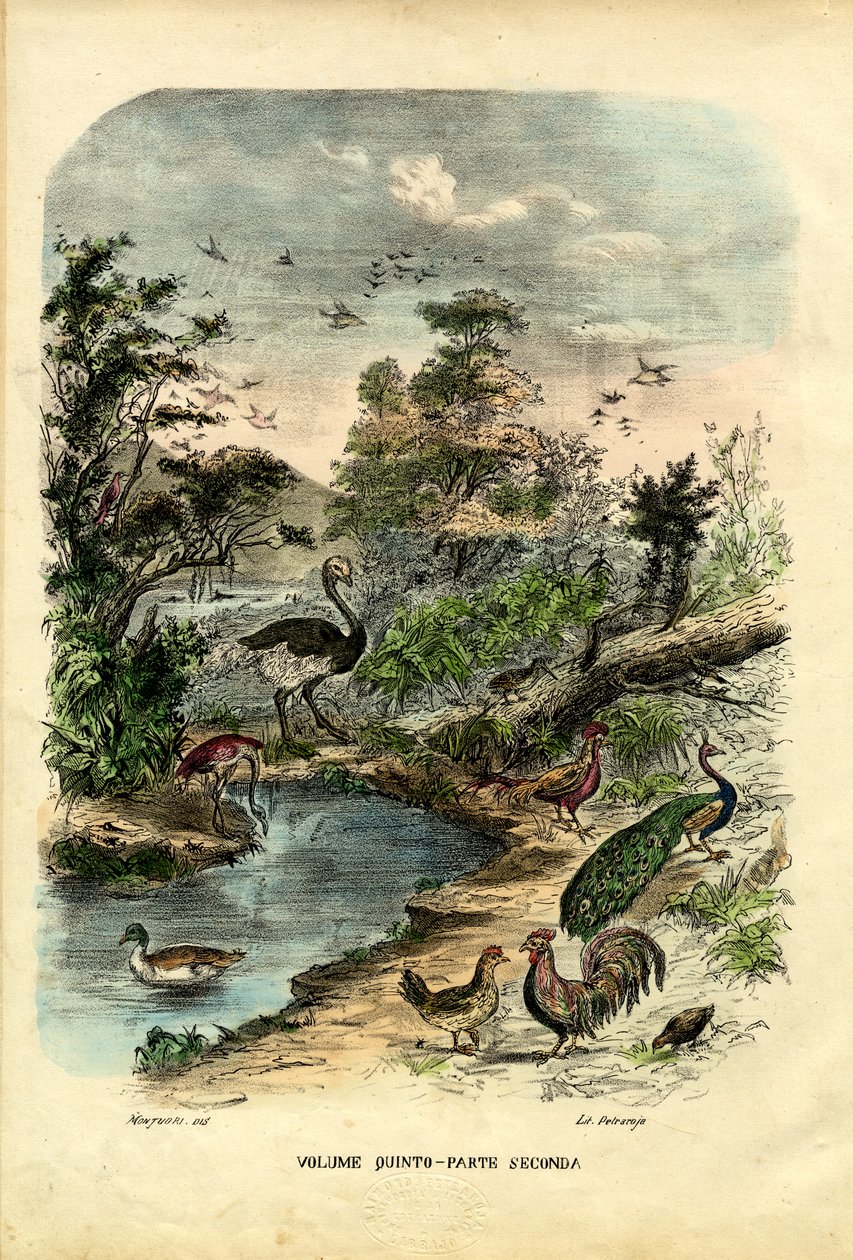 Címlap, 1863-79 alkotó: Raimundo Petraroja