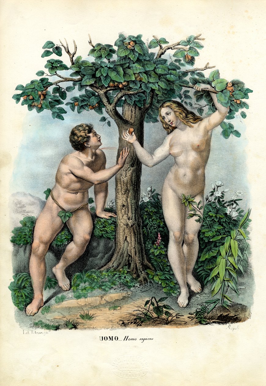 Emberi fajok, 1863-79 alkotó: Raimundo Petraroja