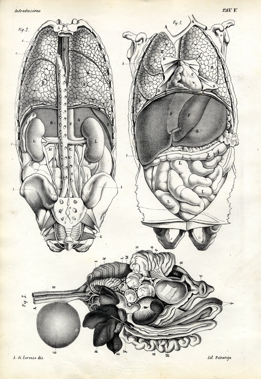 Belek, 1863-79 alkotó: Raimundo Petraroja