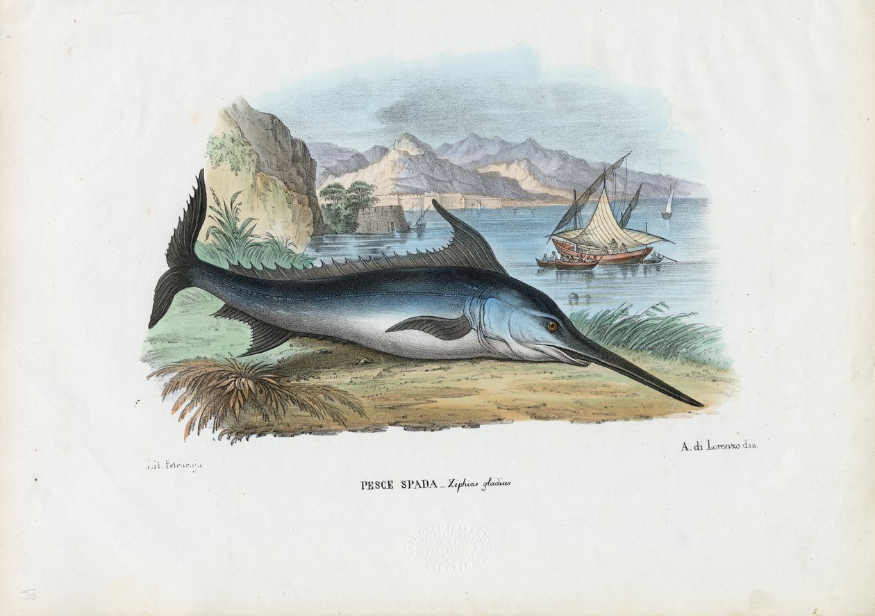 Kardhal, 1863-79 alkotó: Raimundo Petraroja