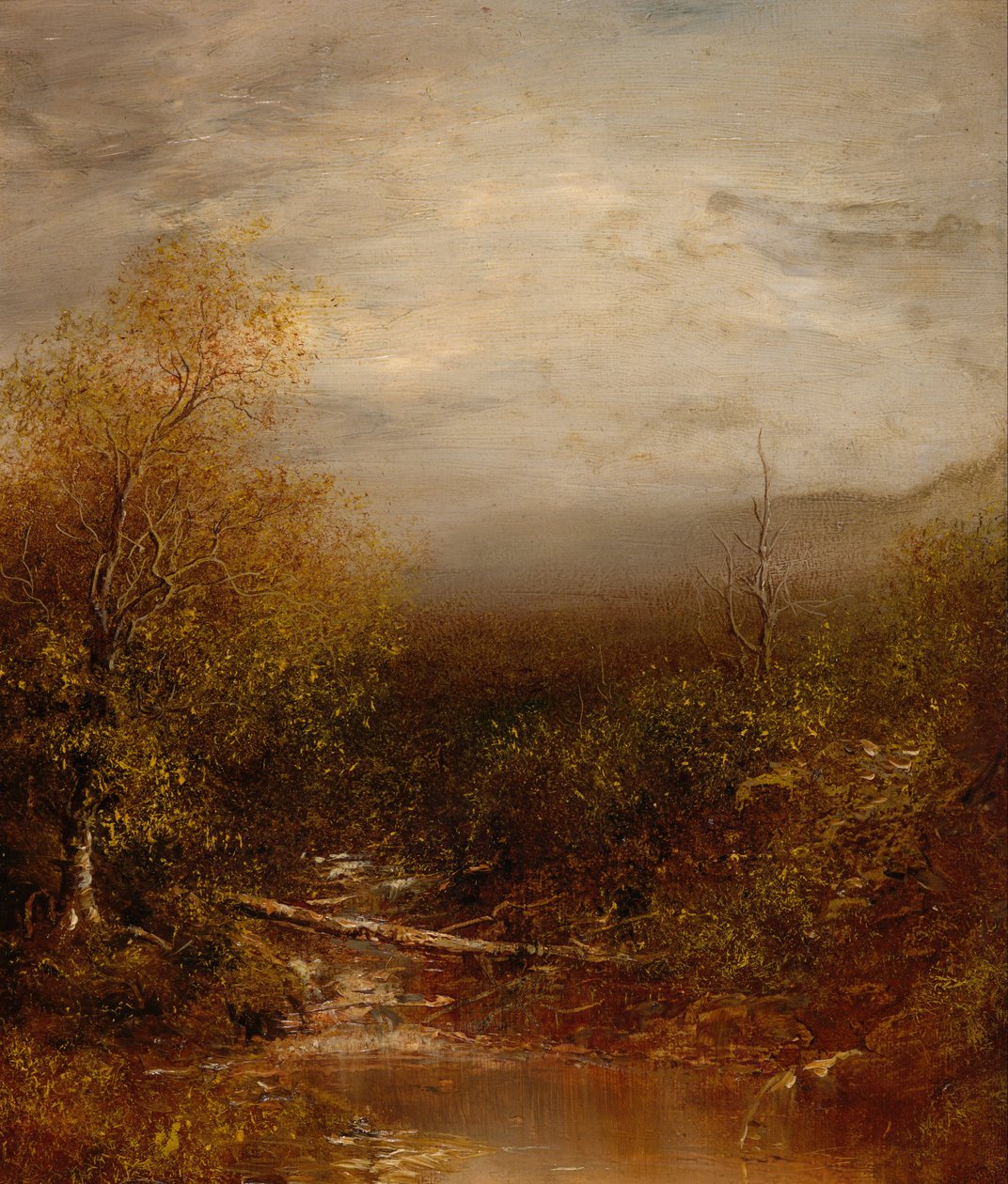 Medence az Adirondacks -ban alkotó: Ralph Albert Blakelock