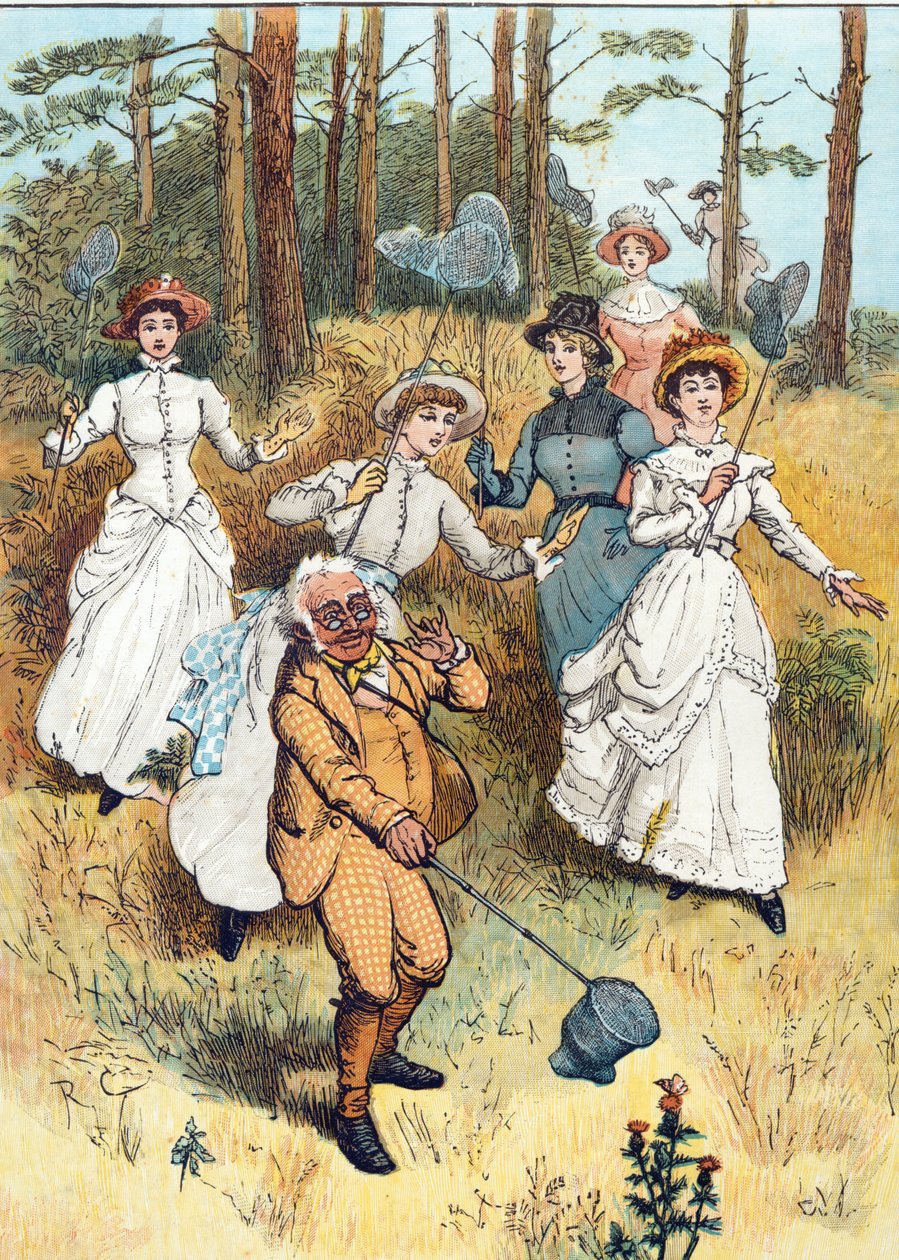 A professzori osztály (wc toll fölött, tinta és ceruza papíron) alkotó: Randolph Caldecott