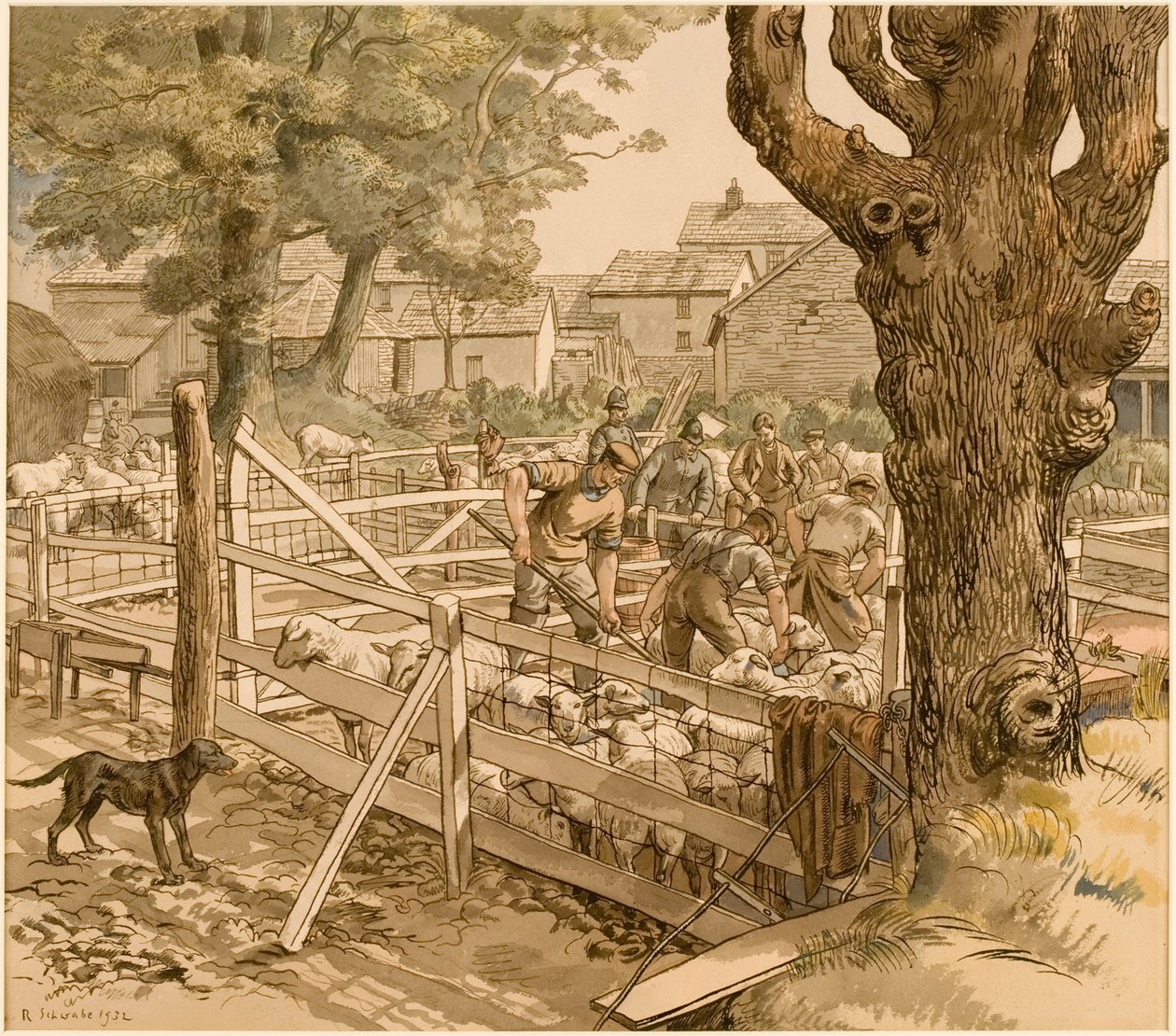 Sheep Dipping, Cornwall alkotó: Randolph Schwabe