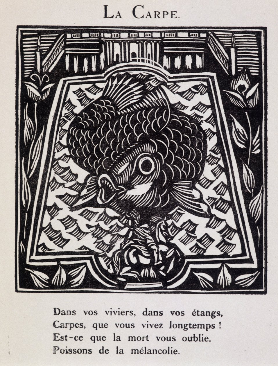 Carp - Guillaume Apollinaire "Le Bestiaire ou cortege d