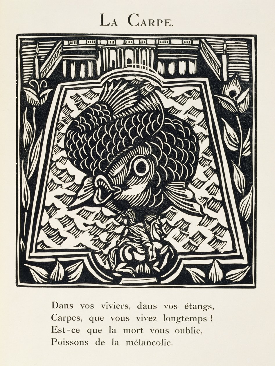 A ponty, illusztráció a "Bestiárium vagy Orfeusz vonulása" című könyvből. alkotó: Raoul Dufy