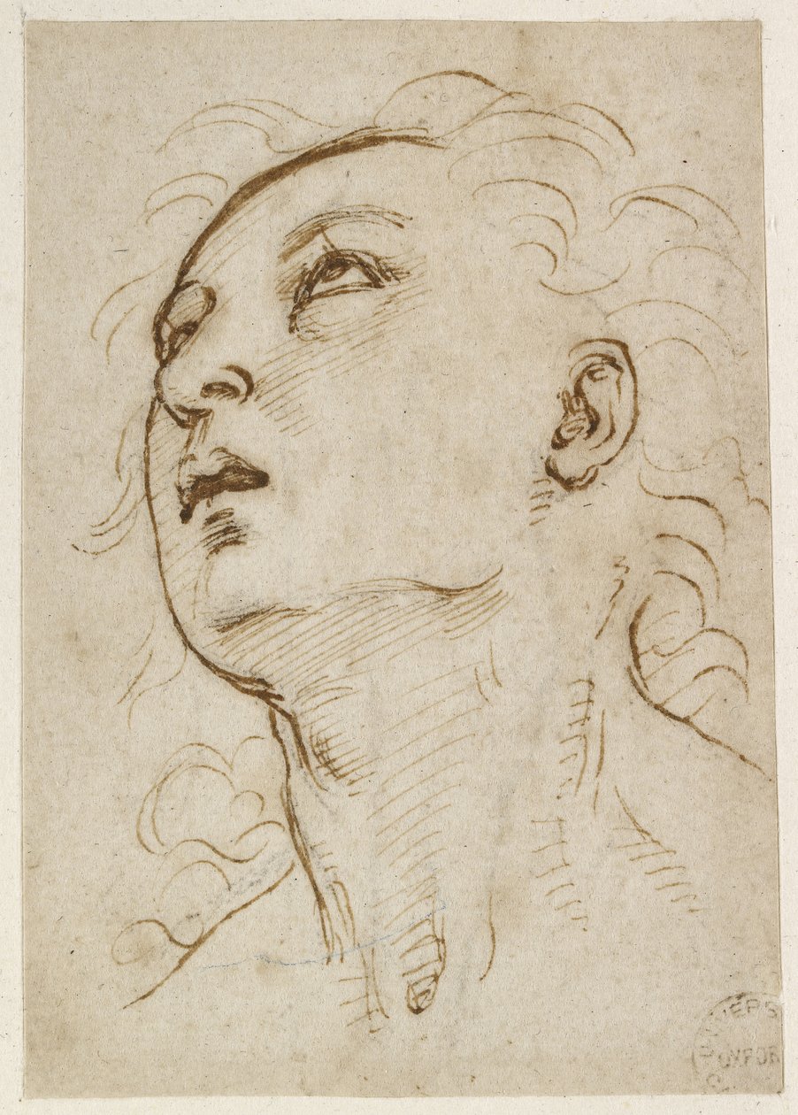 Recto: Egy fiatal férfi feje felfelé néz, WA1846.156 alkotó: Raffaello Sanzio Raphael