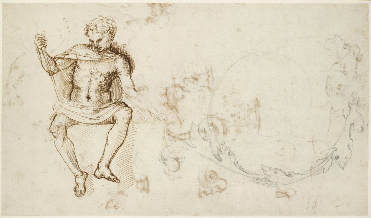 Recto: Tanulmányok egy ülő emberről és az akantusz lombozatáról, WA1846.147 alkotó: Raffaello Sanzio Raphael