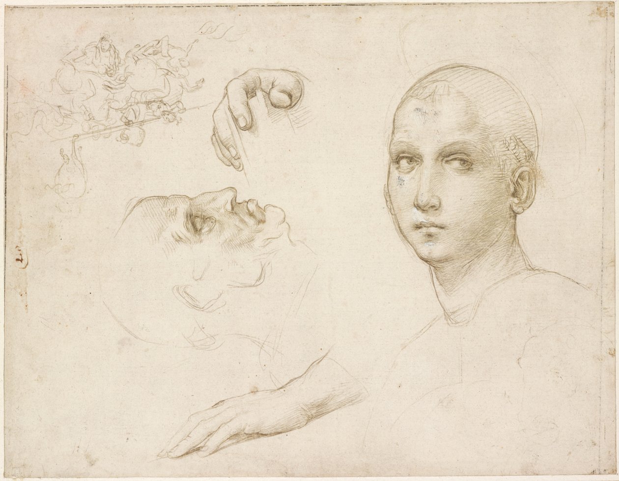 Tanulmányok a San Severo Szentháromságról és egy vázlat Leonardo után, WA1846.176 alkotó: Raffaello Sanzio Raphael
