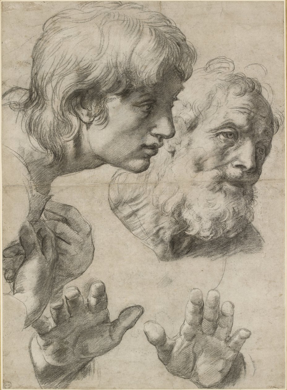 Tanulmányok két apostol fejéről és kezükről, WA1846.209 alkotó: Raffaello Sanzio Raphael