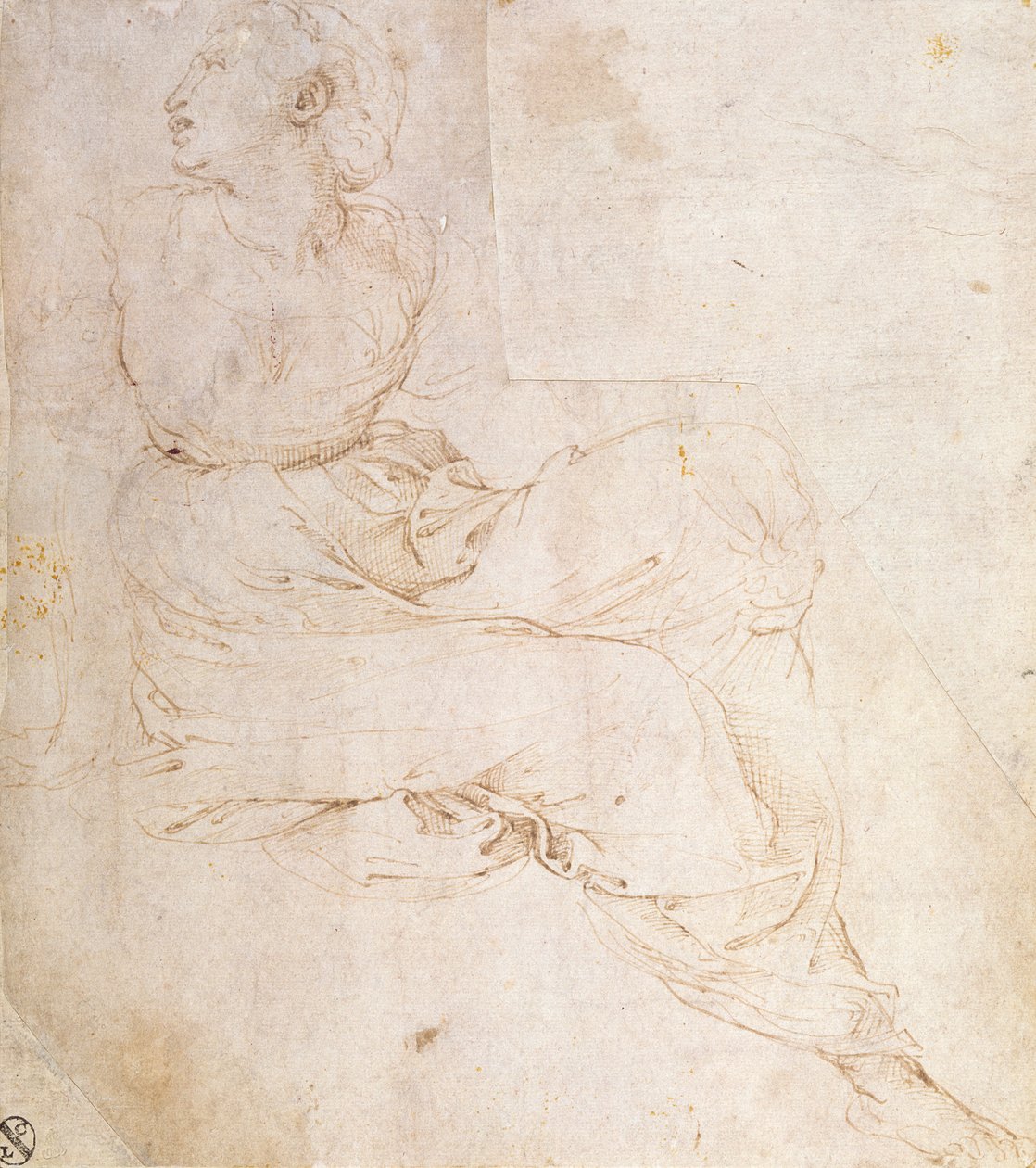 Erato-tanulmány a „Parnasszushoz”, 1510-11 alkotó: Raffaello Sanzio Raphael