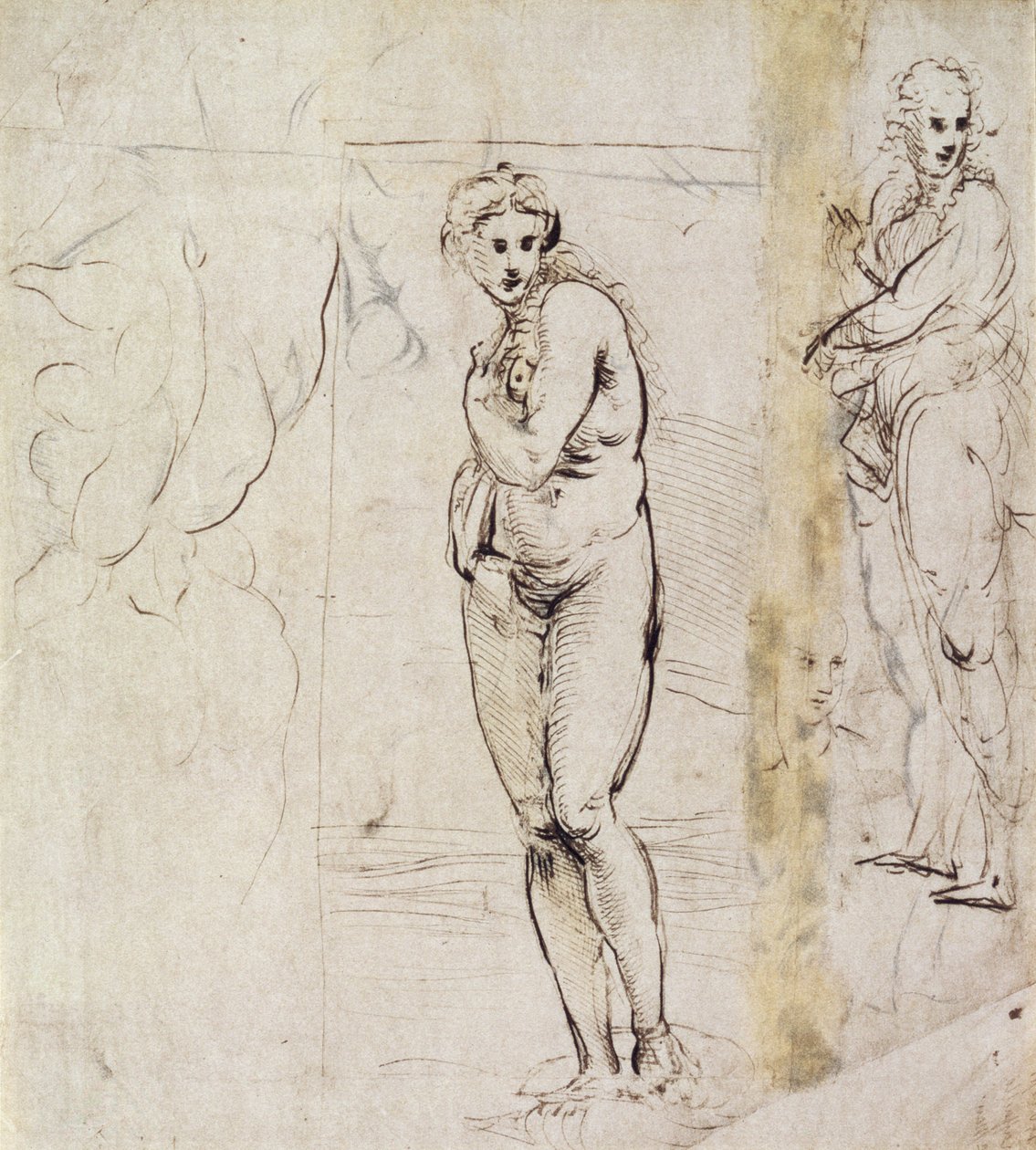 A Vénusz tanulmányozása (toll és tinta) alkotó: Raffaello Sanzio Raphael