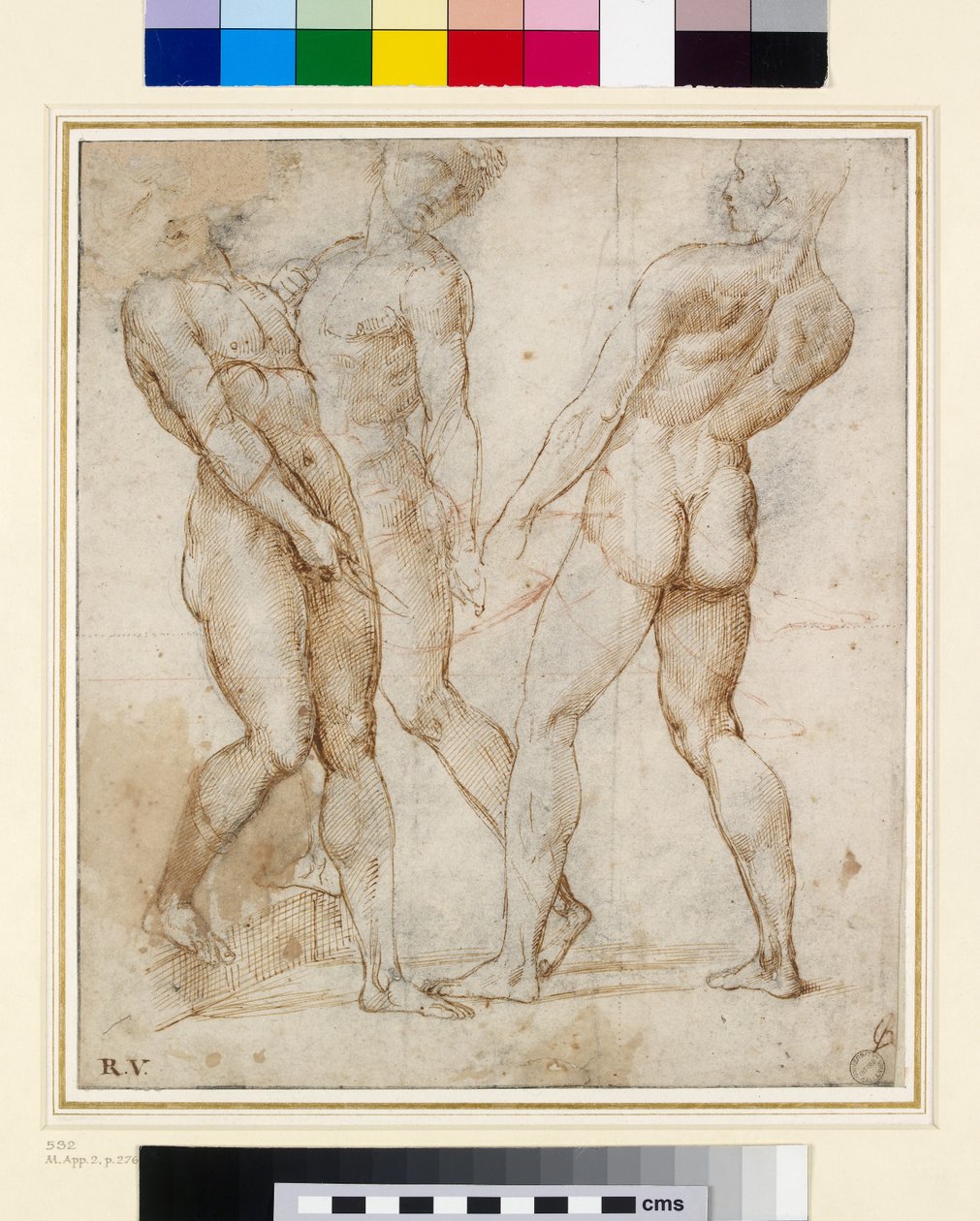 The Nude Bearers (Study for the Tombment) (toll és tinta gouache-os papíron) alkotó: Raffaello Sanzio Raphael