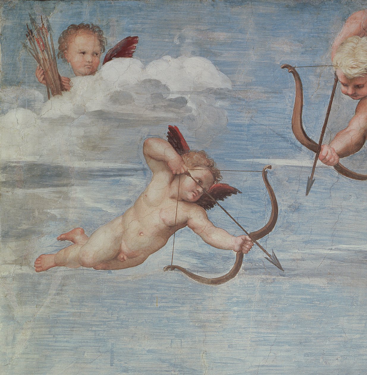Galatea diadala, 1512-14 alkotó: Raffaello Sanzio Raphael