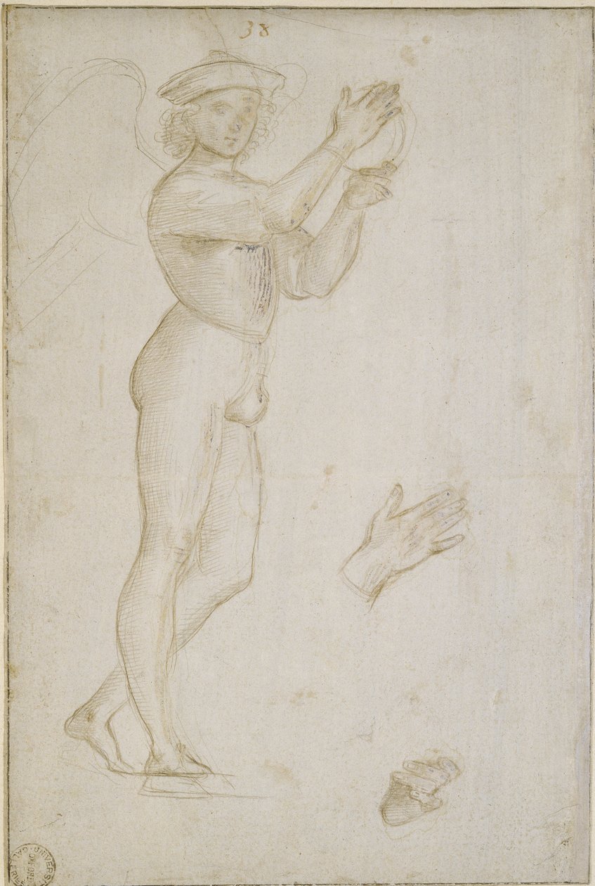 Két tanulmány alkotó: Raffaello Sanzio Raphael