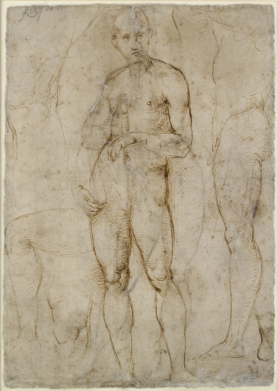 Verso: Nude Study for a St Paul, WA1846.163 alkotó: Raffaello Sanzio Raphael