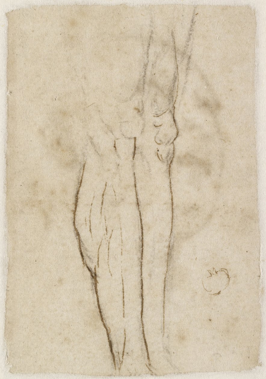 Verso: Vázlat egy pár lábról, WA1846.156 alkotó: Raffaello Sanzio Raphael