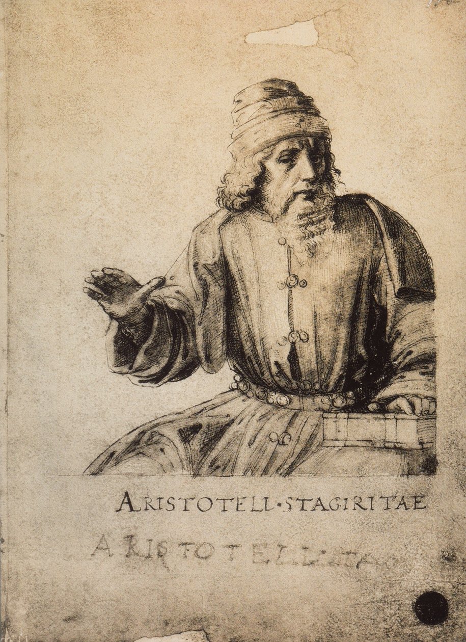 Arisztotelész; Raphael rajza. Gallerie dellAccademia, Velence alkotó: Raffaello Sanzio Raphael
