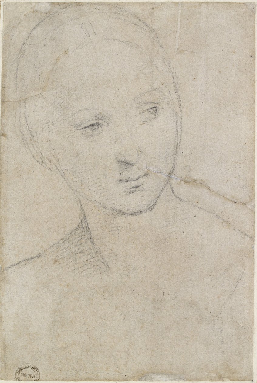 Recto: Tanulmány egy fiatal nő fejéről, WA1846.157 (fekete kréta törtfehér papíron) alkotó: Raffaello Sanzio Raphael