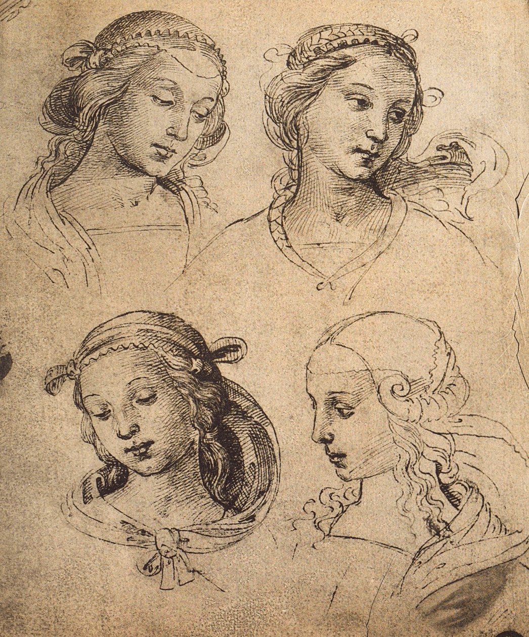 Négy női arc tanulmányozása; Raphael rajza. Gallerie dellAccademia, Velence alkotó: Raffaello Sanzio Raphael