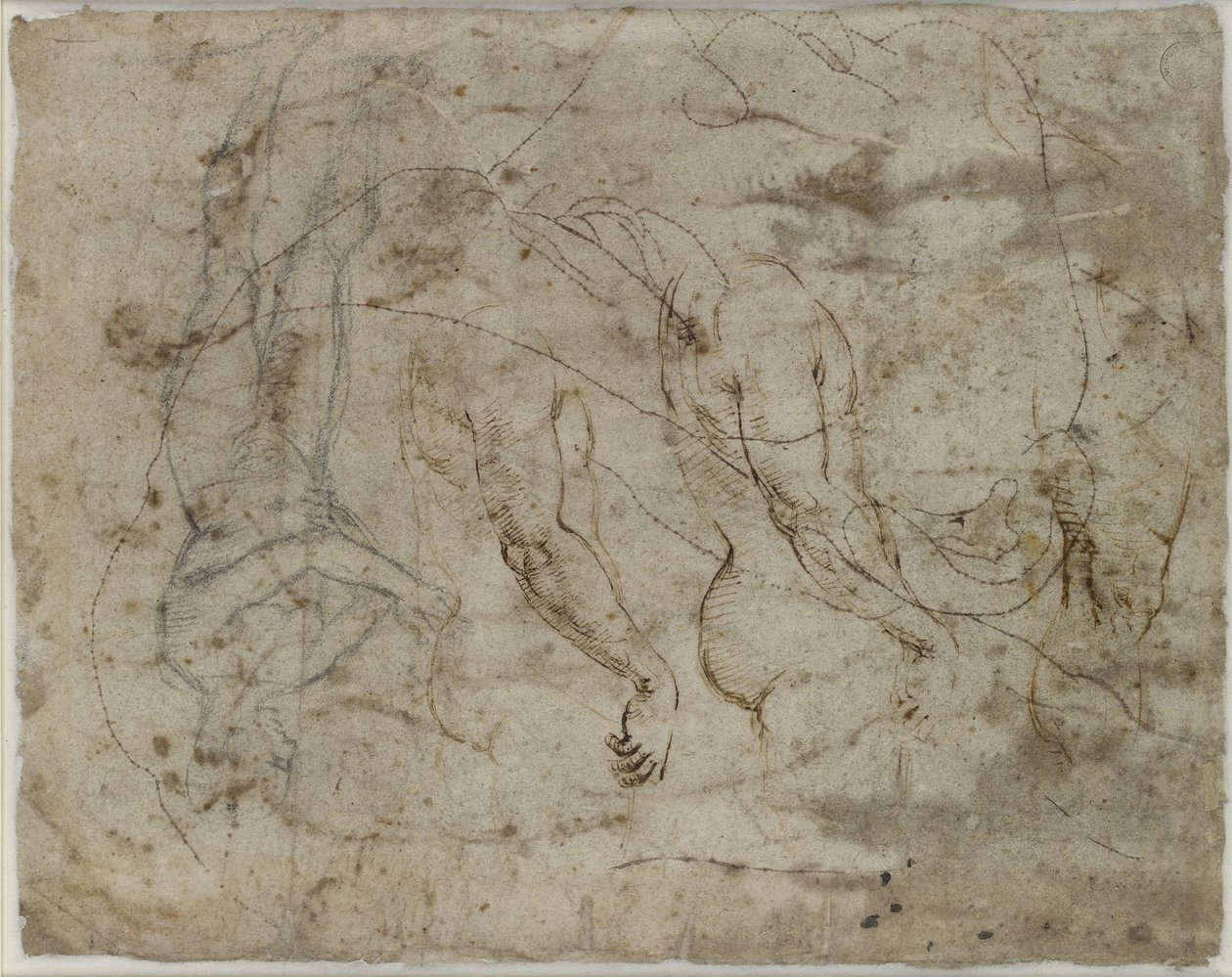 Verso: két tanulmány a karokról, egy felfelé néző profil és egy álló alak, WA1846.164 (toll és tinta, fekete kréta, a profil átszúrva) alkotó: Raffaello Sanzio Raphael
