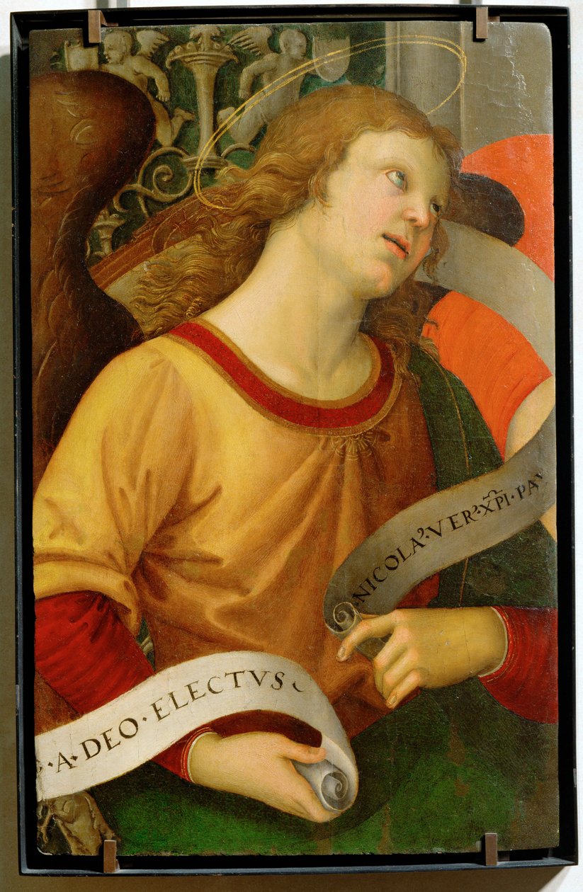 Angel ... alkotó: Raphael (1483 1520)