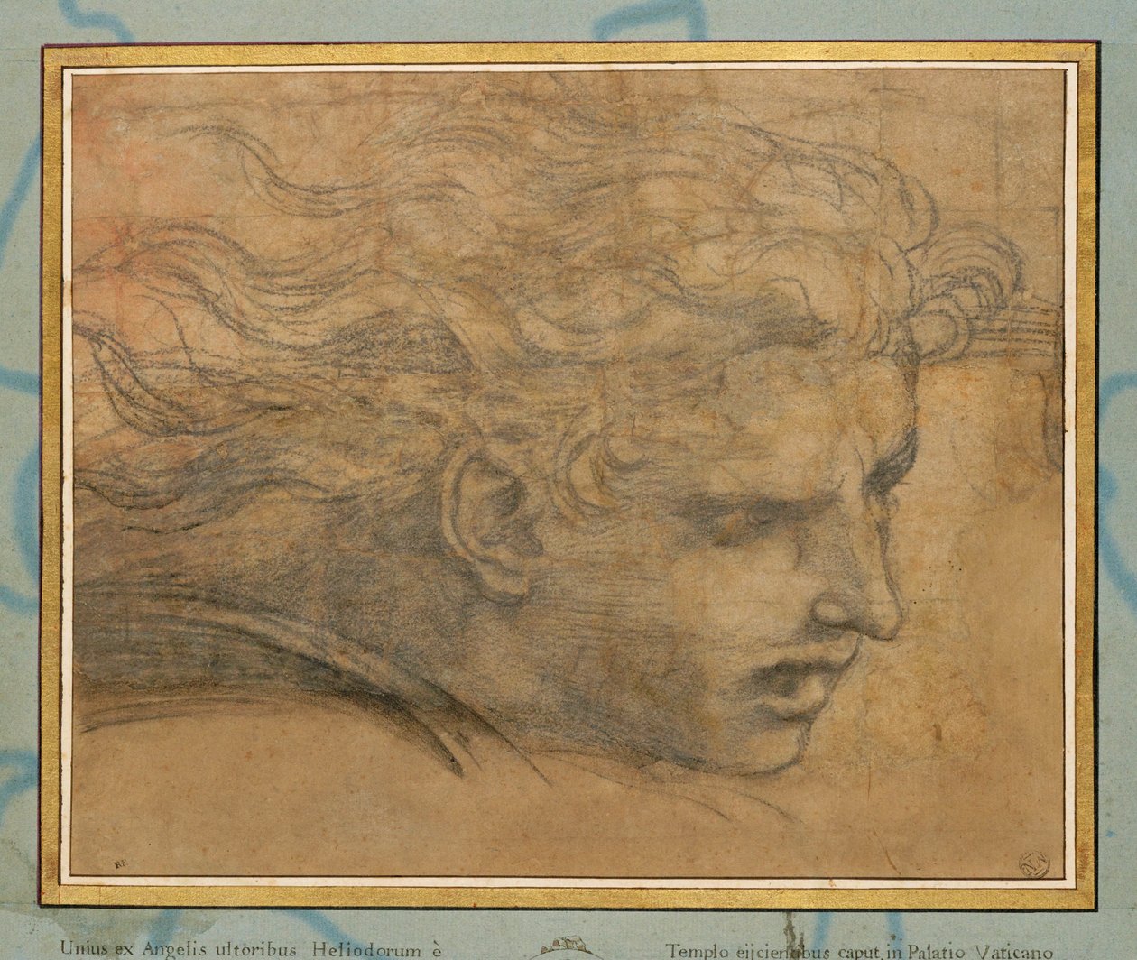 Fiatal férfi feje, háromnegyed részben jobbra ... alkotó: Raphael (1483 1520)
