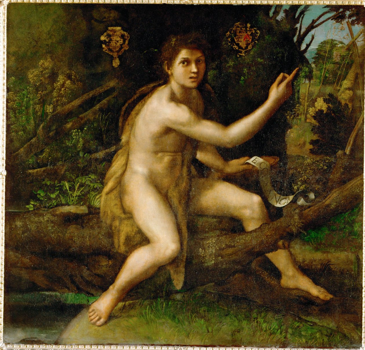 Keresztelő Szent János a pusztában, a fát mutatva, amely ... alkotó: Raphael (1483 1520)