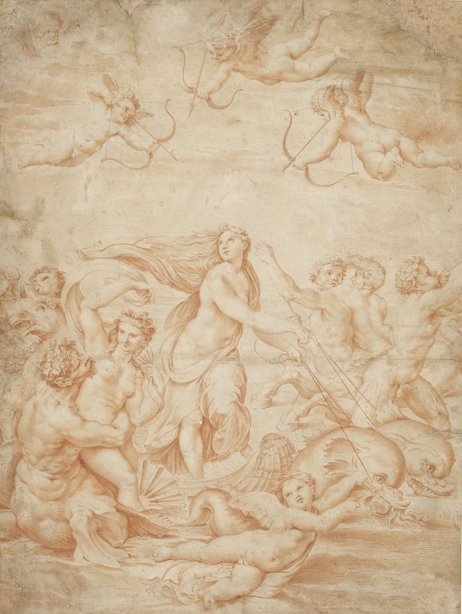 Galatea diadala alkotó: after Raphael