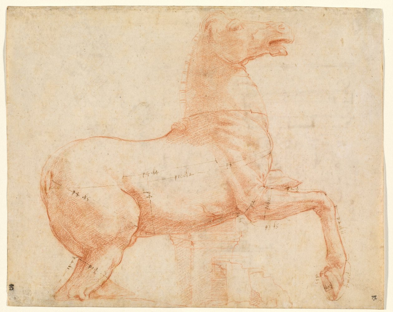 Márványló a Quirinal-dombon (recto), 1513 körül (vörös kréta, toll, barna tinta, ólomhegy és ceruza) alkotó: Raphael (1483 1520)