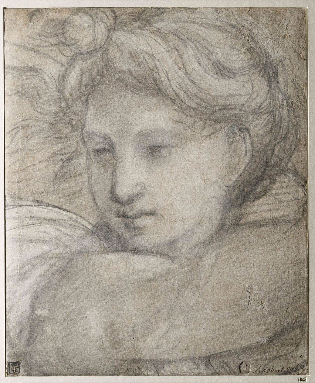 Raffaello Sanzio - Egy angyal feje par Raphael (1483-1520), c. 1520 - Fekete-fehér kréta papíron, 30,8x25,4 - Szepmuveszeti Múzeum, Budapest alkotó: Raphael