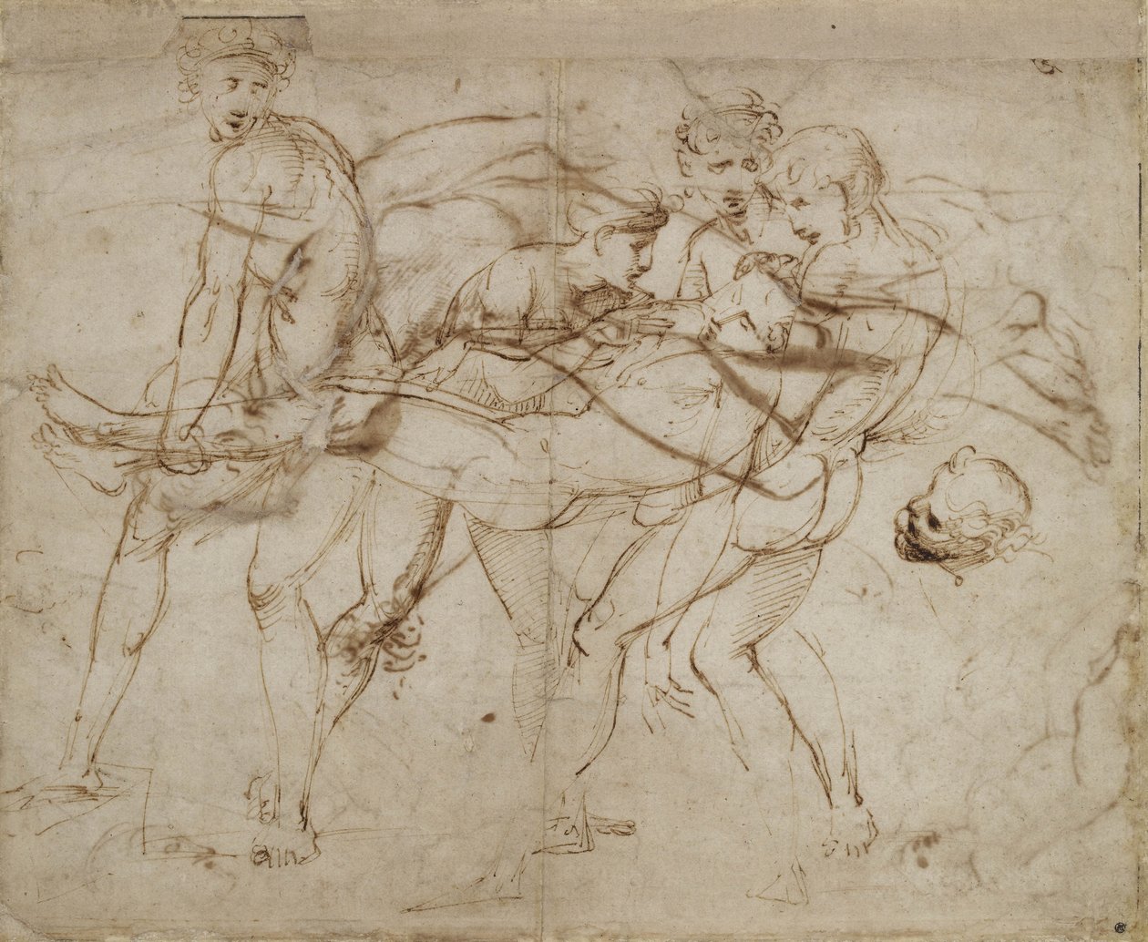 Adonis halála (toll és barna tinta törtfehér papíron) alkotó: Raphael