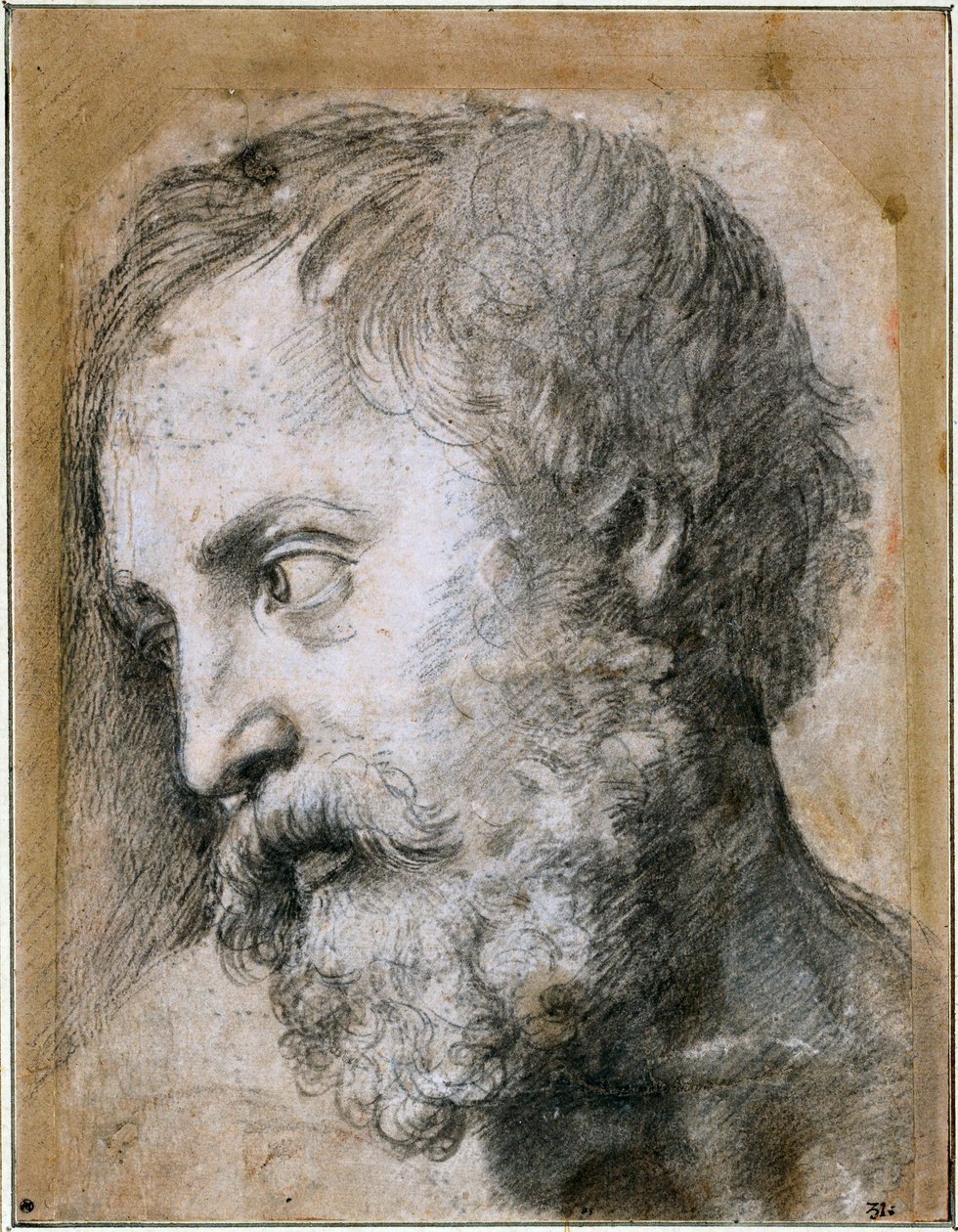 Az An Apostle Study for Transfiguration vezetője, 1519-1520 alkotó: Raffaello Sanzio Raphael