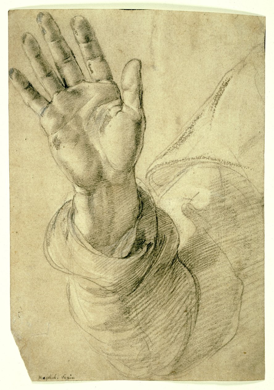 Felemelt jobb kéz, tenyérrel kifelé: Tanulmány Szent Péter számára, 1518-20 alkotó: Raphael