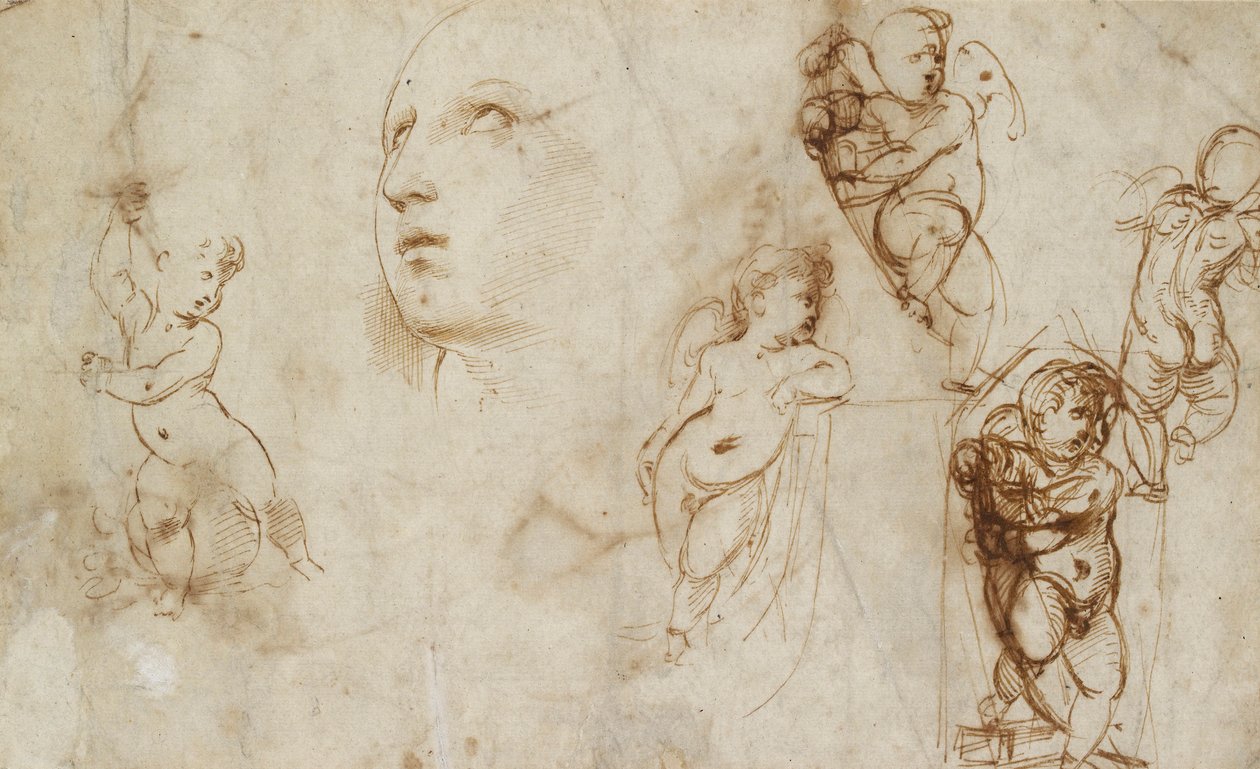 Különféle tanulmányok, főként a Borghese-Beckford St Catherine számára, 16. század eleje alkotó: Raphael