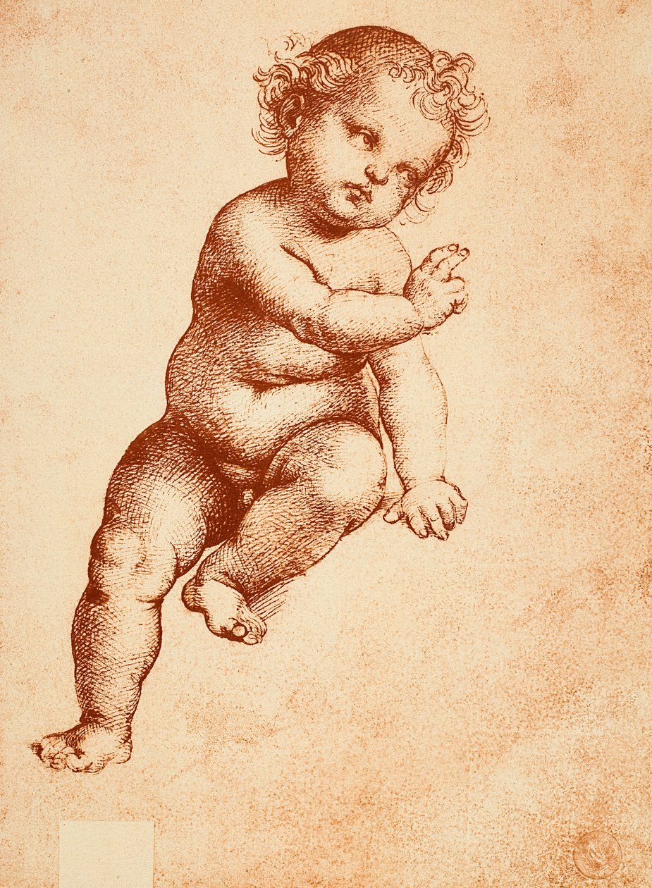 Tanulmány egy kis Jézusnak, Raphael rajza. Gallerie dellAccademia, Velence alkotó: Raffaello Sanzio Raphael