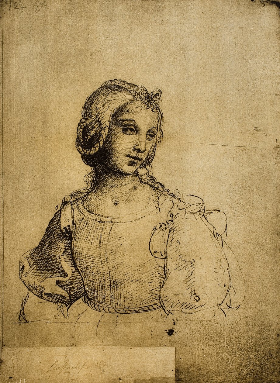 Egy nő tanulmányozása; Raphael rajza. Gallerie dellAccademia, Velence alkotó: Raffaello Sanzio Raphael