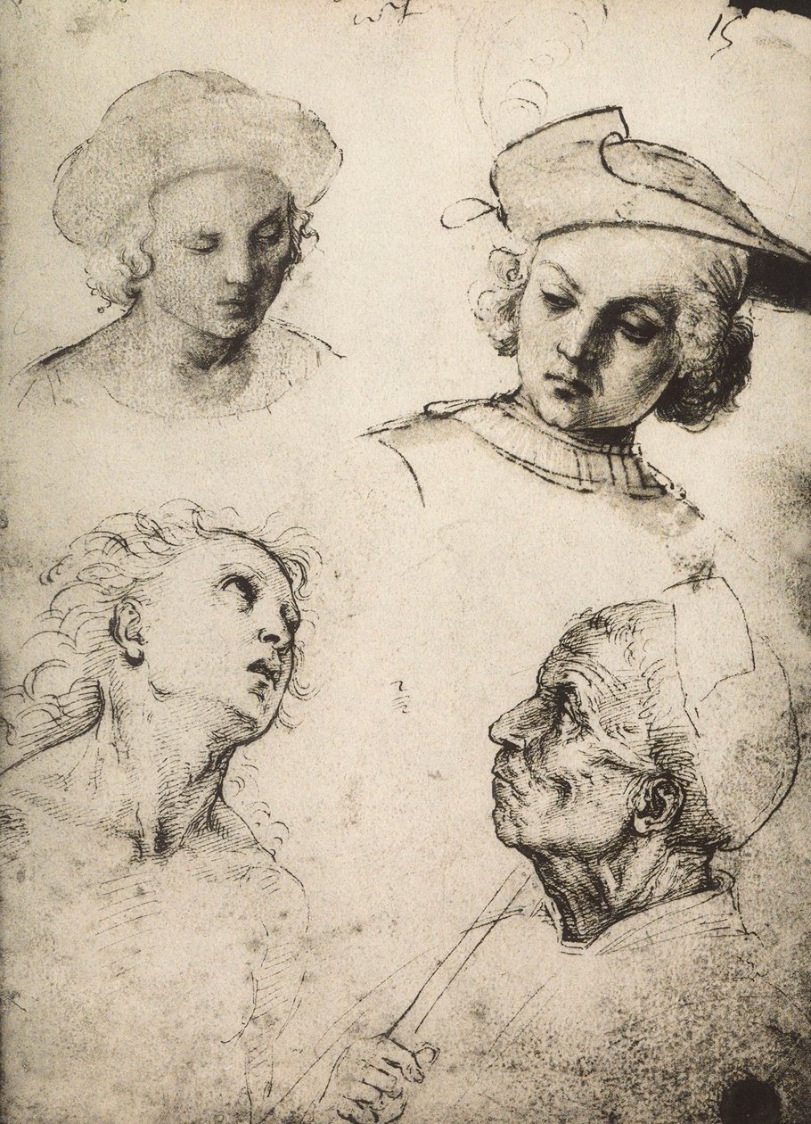 Négy férfiarc tanulmányozása; Raphael rajza. Gallerie dellAccademia, Velence alkotó: Raffaello Sanzio Raphael