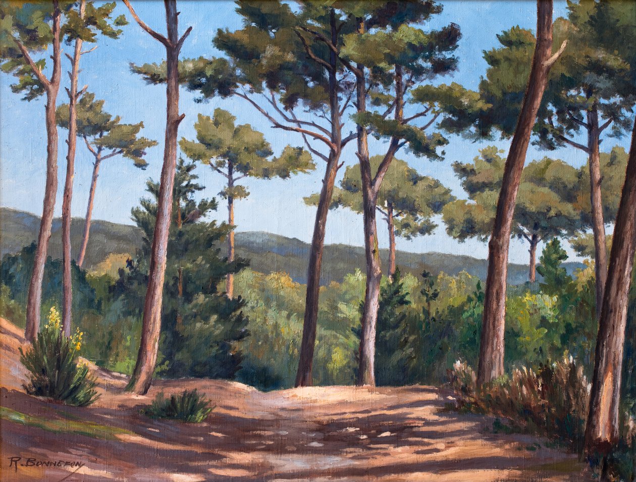 A Le Canon dűnén alkotó: Raymond Bonnefon