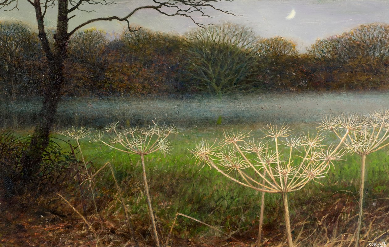 December alkonyatkor: köd a mezők felett (olaj, tábla) alkotó: Raymond Booth