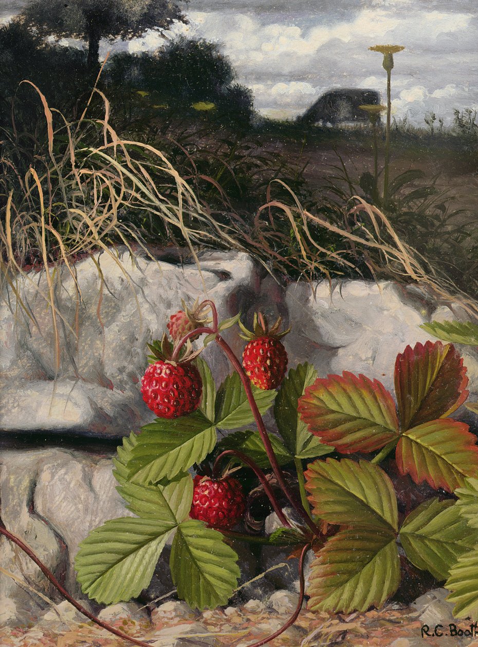 Eper (olaj, panel) alkotó: Raymond Booth