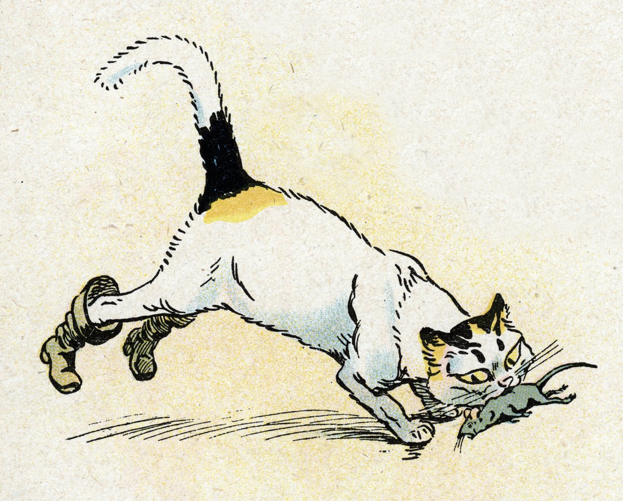"Le Chat Botte" illusztráció Charles Perrault meséihez (illusztráció) 1920 körül alkotó: Raymond de la Neziere
