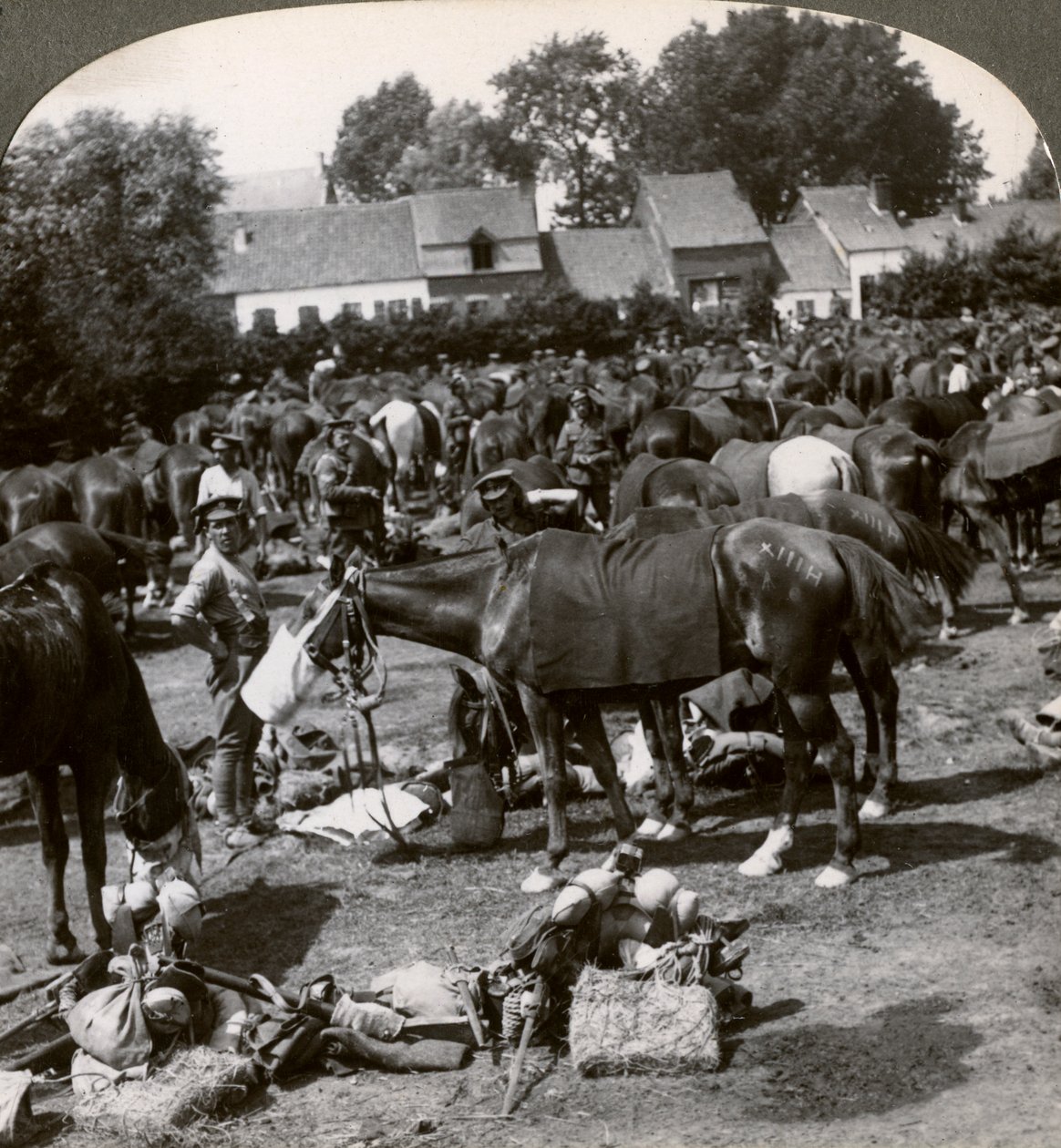 Lovaikat etető és menetben pihenő csapatok, I. világháború, 1914-1918. alkotó: Realistic Travels Publishers