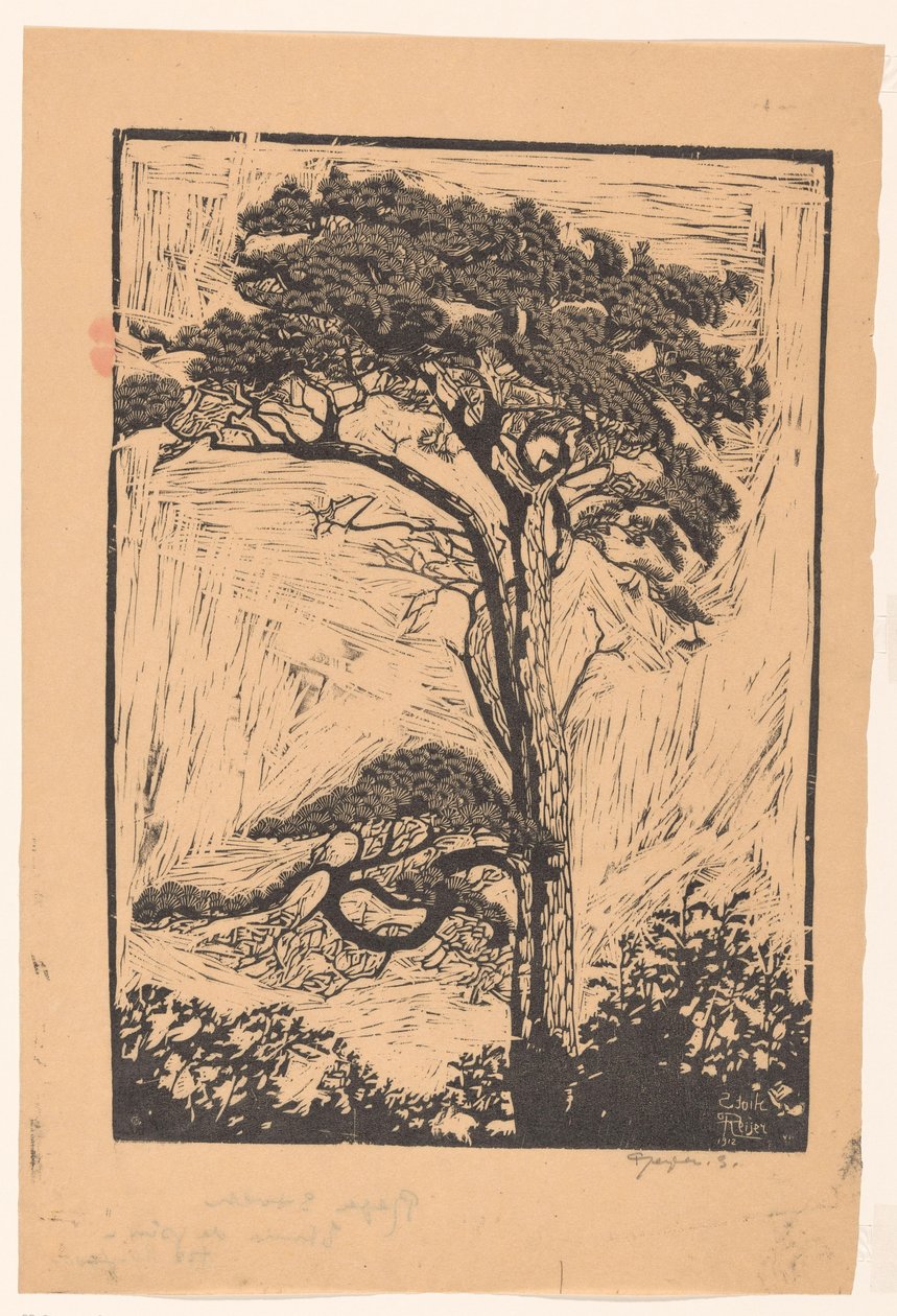 Fenyő Etude de pin (cím a tárgyon) alkotó: Reijer Stolk (signed by artist)