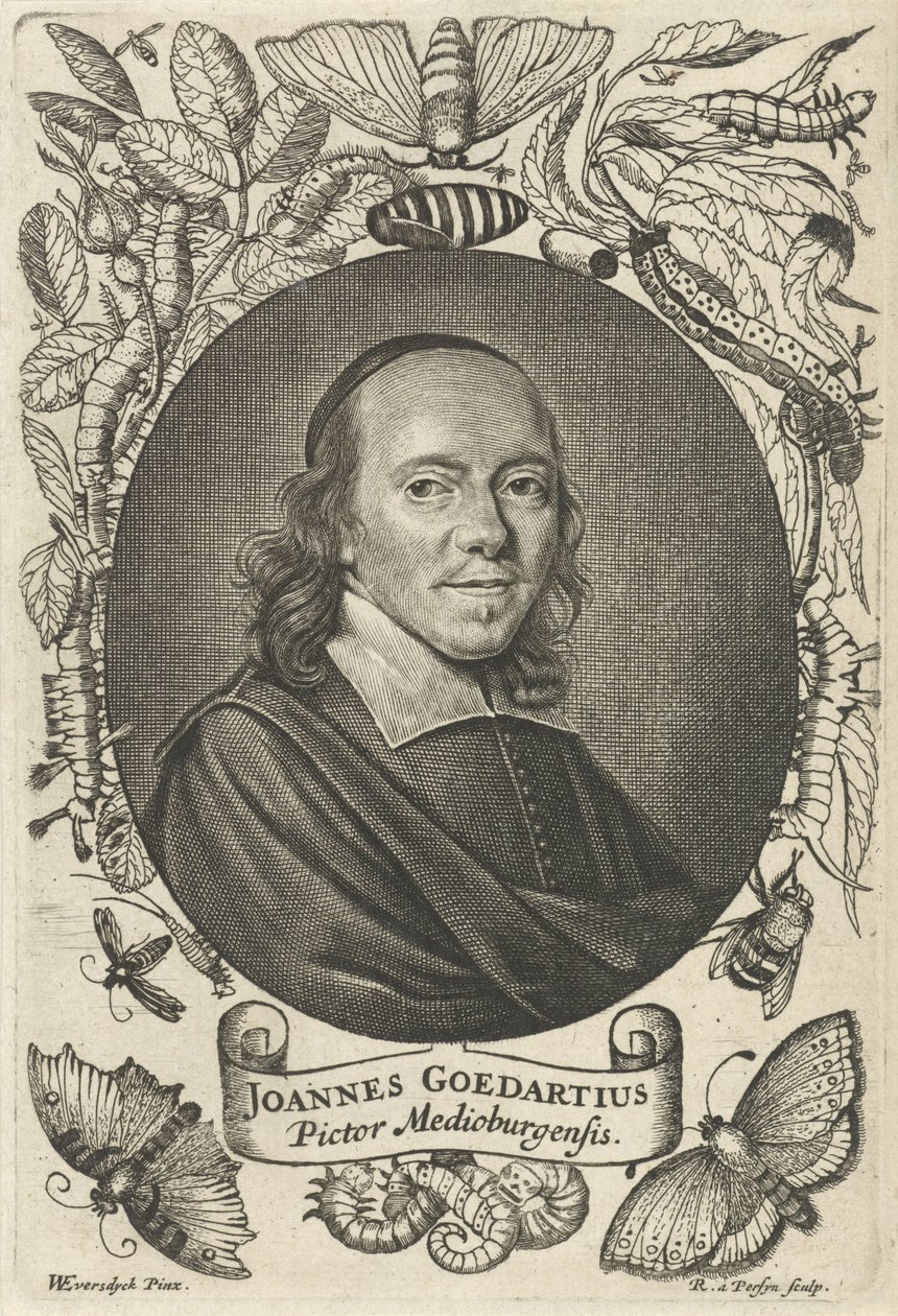 Johannes Goedaert (1617-1668) Middelburgból alkotó: Reinier van Persijn