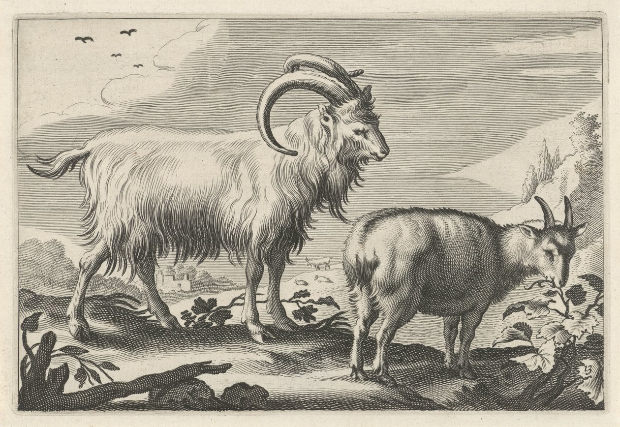 Dombos táj két kecskével Diversa Animalia Quadrupedia (sorozat címe) alkotó: Reinier van Persijn