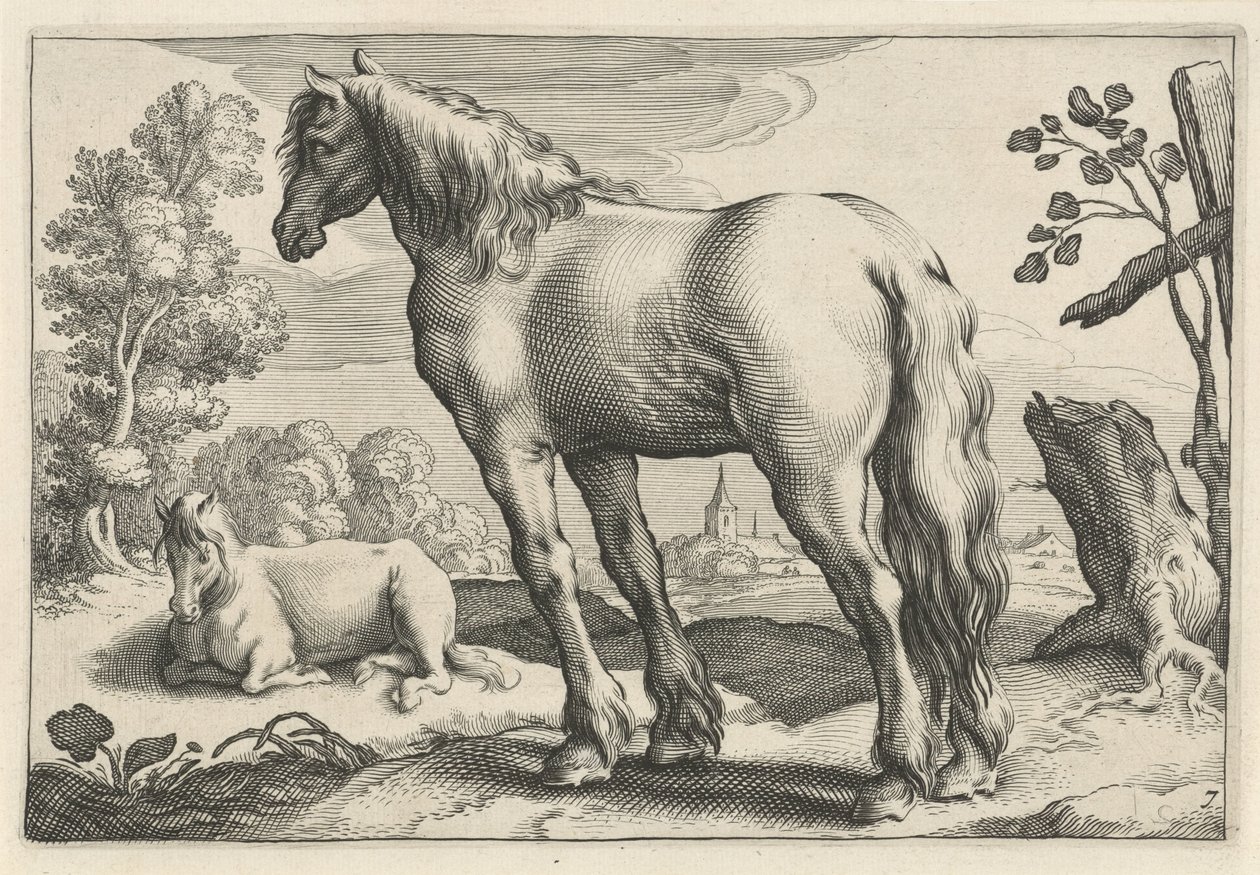 Táj két lóval Diversa Animalia Quadrupedia (sorozat címe) alkotó: Reinier van Persijn