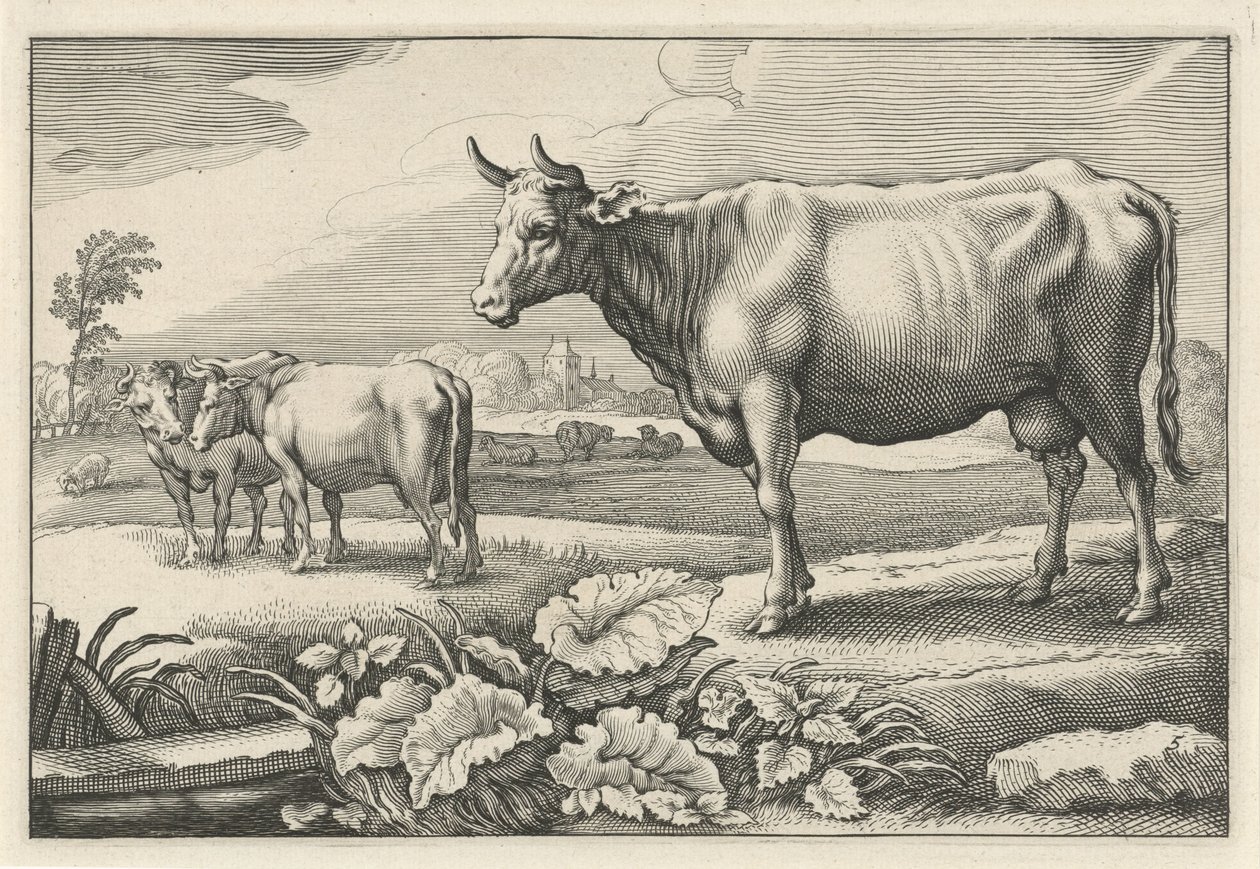 Legelő tehenekkel Diversa Animalia Quadrupedia (sorozat címe) alkotó: Reinier van Persijn