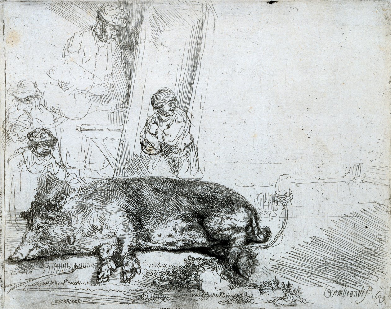 A disznó, 1643 alkotó: Rembrandt van Rijn